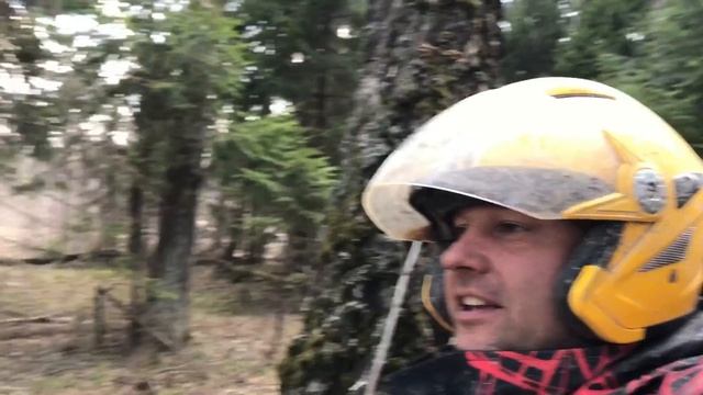 ЧЕХОВСКИЕ НАЧИНАЮТ КАТАТЬ смотреть онлайн