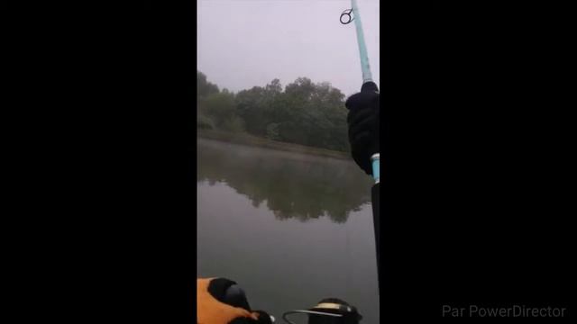 Silures à vue suite (catfish catch and release) смотреть онлайн