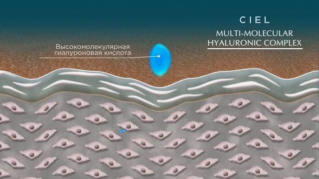 Hyaluron active – уход за кожей нового поколения на основе гиалуроновой кислоты смотреть онлайн