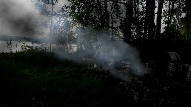 Звуки ночного леса.Это ужасно и прекрасно! ЧАСТЬ -2 смотреть онлайн