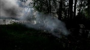 Звуки ночного леса.Это ужасно и прекрасно! ЧАСТЬ -2