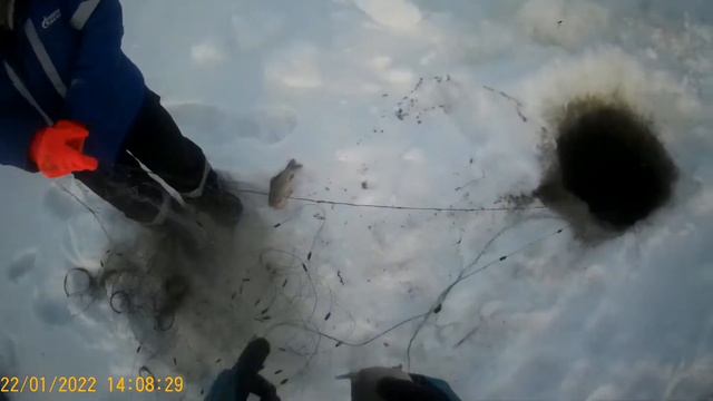 проверка сетей 22.01.2022 смотреть онлайн