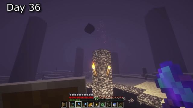 I Spent 100 Days Getting As Rich As Possible In Minecraft Hardcore Mode, And Here's What Happened.. смотреть онлайн