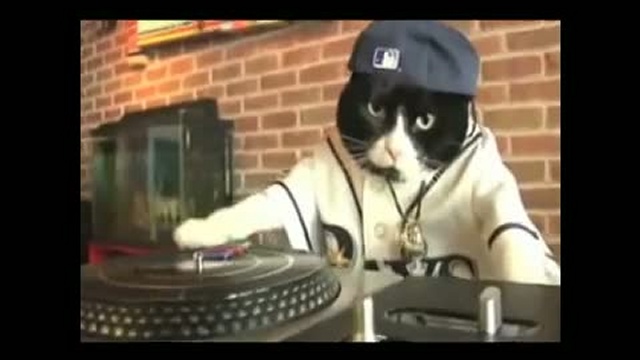 DJ Kitty смотреть онлайн