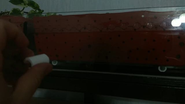 Аквариум 1100 литров. Фитофильтр 4 смотреть онлайн