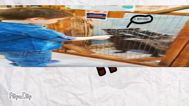 ИСТОРИЯ КАК Я БЫЛ В ЗООПАРКЕ смотреть онлайн