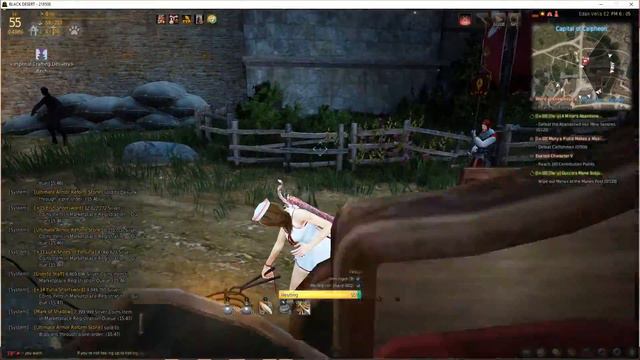 Black desert 1070 gtx test смотреть онлайн