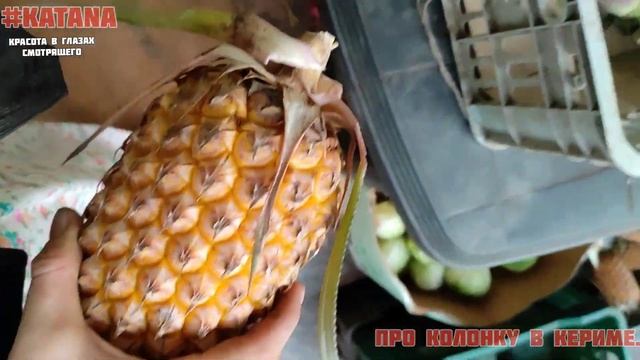 Как добыть воды в Кериме? Походная мультиварка.Kак снимать огонь в кадре горящий на теле?#KatanaLiv смотреть онлайн