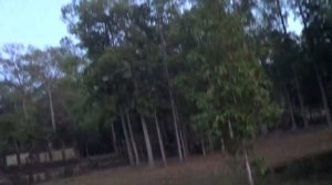 Марго кормит мартышек - Глобальная Волна - The Global Wave