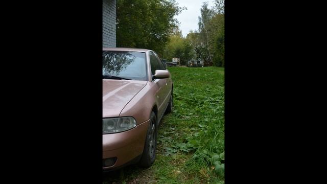 фотографируем как/ цветут цветы/осень/ калуга/ сентябрь /2016 смотреть онлайн