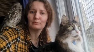 Сколько надо сов, чтобы накормить одну сойку?