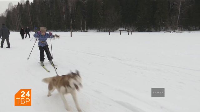 Сергей Геворкян: «Не заводите хаски, если не можете уделять ей 4 часа в день» смотреть онлайн