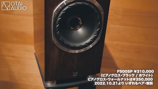 【ブックシェルフかトールボーイか】FYNE AUDIO F500SP & F501徹底比較丨オタイオーディオTV смотреть онлайн
