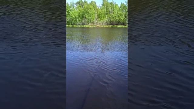 рыбалка на окуня уха по остятцки смотреть онлайн