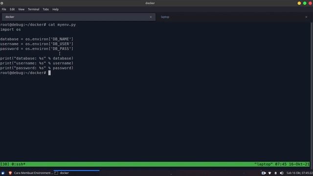 Environment Variables di Docker смотреть онлайн