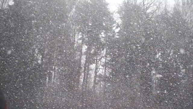 Тихо идёт снег в лесу. Расслабляющие звуки природы. смотреть онлайн