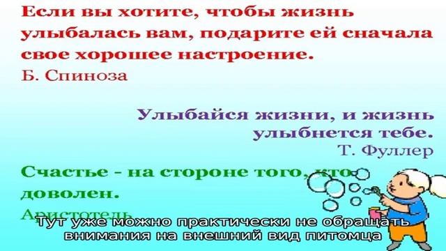 Имена и клички для алабая смотреть онлайн