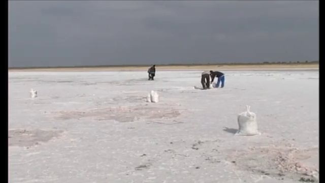 Company Profile Video