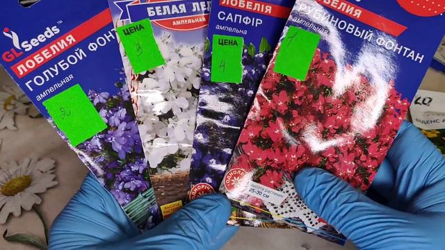 [2023]Баклажаны и цветы-посев.Перец-пикирую. смотреть онлайн