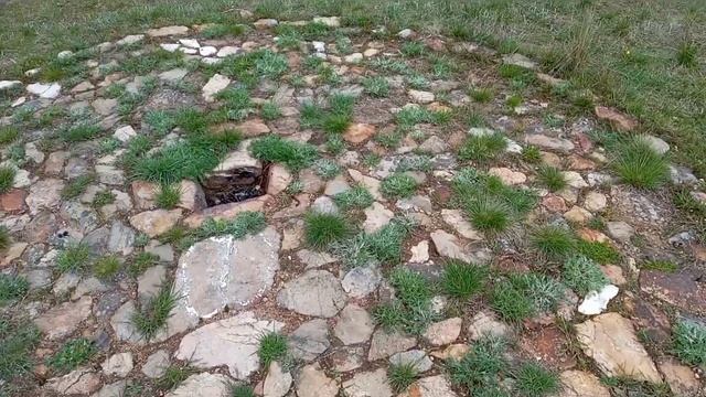 Красота весеннего леса. смотреть онлайн