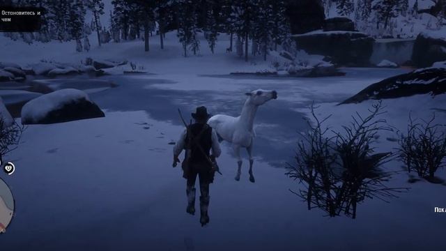 Red Dead Redemption II PC l С первого раза оседлал Арабскую лошадь смотреть онлайн