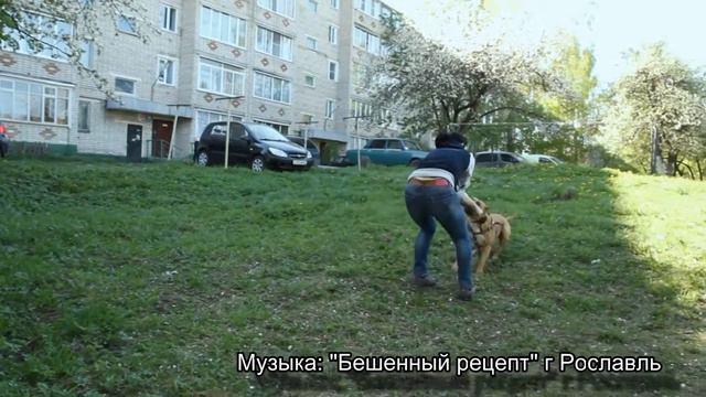 Бэлла смотреть онлайн