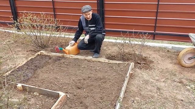 Посадка чеснока целыми головками... смотреть онлайн