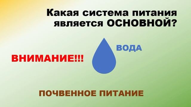 Две системы питания организма человека смотреть онлайн