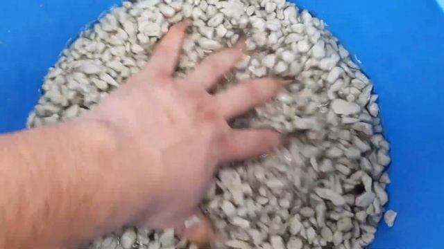 GrowPlantPonics - СУБСТРАТНАЯ DWC ГИДРОПОНИКА на пеностекле смотреть онлайн