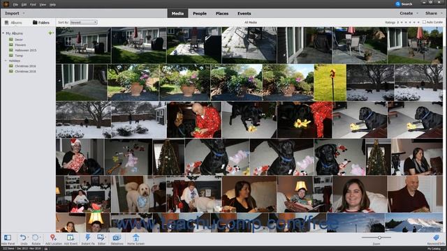 Photoshop Elements 2020 Tutorial The Taskbar Adobe Training смотреть онлайн