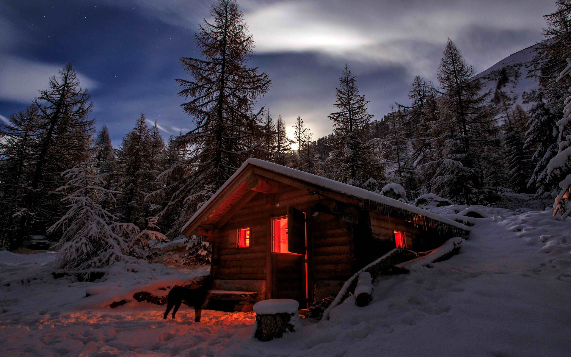 Фантазия - 1