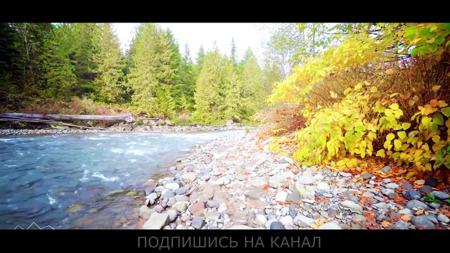 КАК В ИСЛАМЕ НУЖНО ДАВАТЬ НАСТАВЛЕНИЕ НАСЫХА ИМАМ АХМАД смотреть онлайн