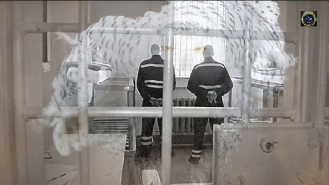 Пожизненное заключение Полярная Сова Ик-18. Без права на жизнь. смотреть онлайн