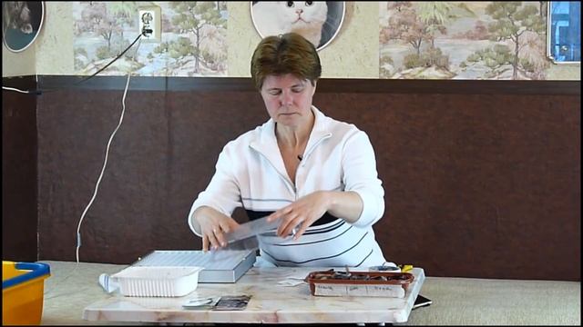 БАКЛАЖАНЫ как получить МАКСИМАЛЬНЫЙ УРОЖАЙ 0+ смотреть онлайн
