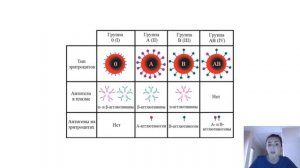 Группы крови человека. Правила переливания между группами крови