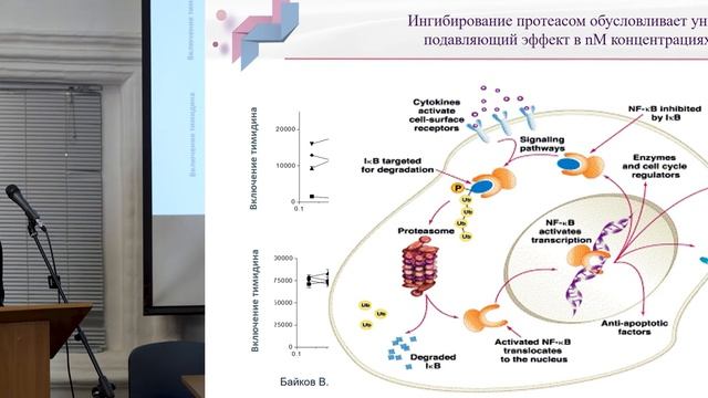 Байков В. В. Патогенез остеолитических осложнений при множественной миеломе
