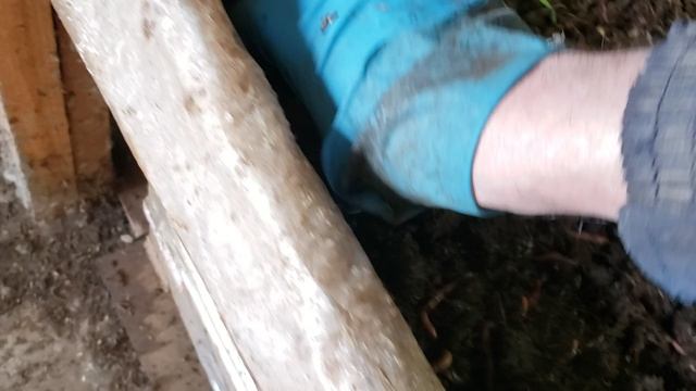 В поисках червя для фасовки смотреть онлайн