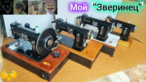 "Kohler", "Altenburg" (50 класс). Швейная машина. Коллекция.