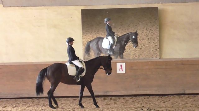 26.03.2016 Эшлинн Планерная м. е. 1* Елизавета Макарова смотреть онлайн