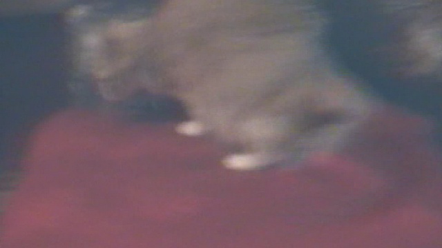 2004 смотреть онлайн
