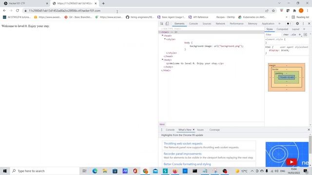 Hacker101 CTF: A little something to get you started | Trivial Web challenge смотреть онлайн