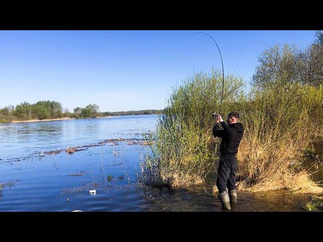 Рыбалка МЕЧТЫ /КРУПНЫЙ КАРАСЬ на ФИДЕР перед нерестом смотреть онлайн