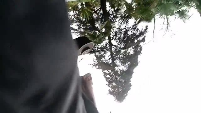 ВФ Сочи 2 января гуляем смотреть онлайн