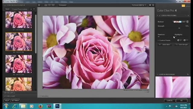 THE REVIEW OF GOOGLE NIK COLLECTION COLOR EFEX BY VISUAL CRITIC || смотреть онлайн