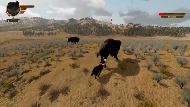 WolfQuest Anniversary Edition: The First Bison killed in-game! смотреть онлайн