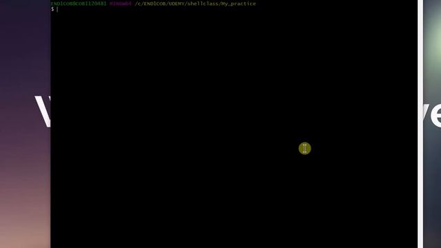 Session1 Introduction to Bash Script Absolute beginner смотреть онлайн