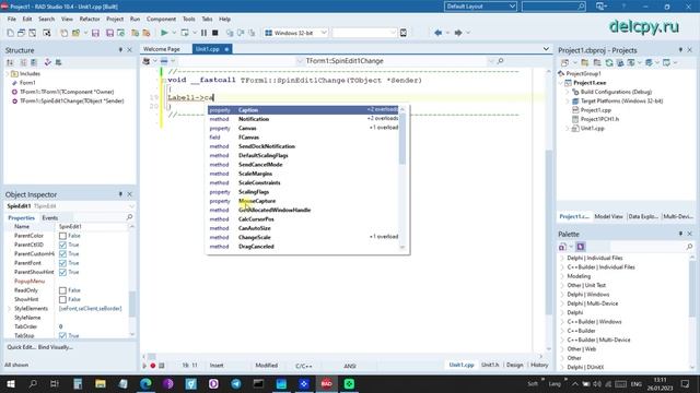 SpinEdit C++. Embarcadero.