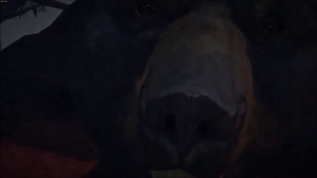 Нападение одновременно волка и медведя в The Long Dark смотреть онлайн