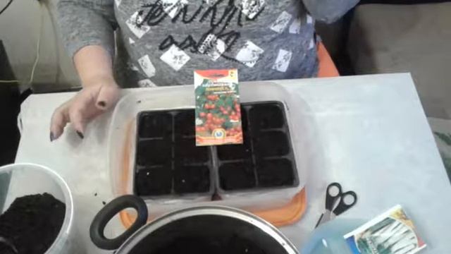 Посев семян томата Минибел