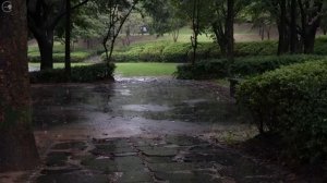 Звук дождя для сна в парке под дождем Теплая колыбельная быстро побеждает бессонницу